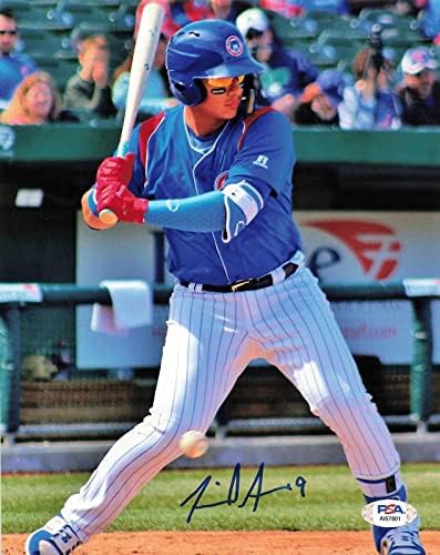 Miguel Amaya podpísal fotografiu 8x10 PSA / DNA Chicago Cubs podpísané-podpísané fotografie MLB